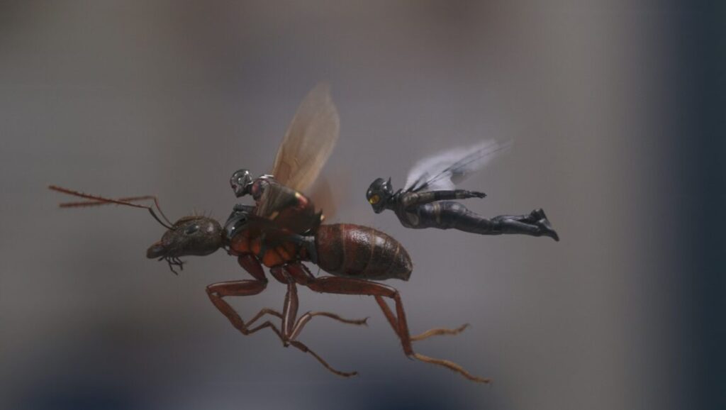 Ant-Man and the Wasp | Peyton Reed Ant-Man riding an ant, with the Wasp flying alongside. Ant-Man and the Wasp movie scene.