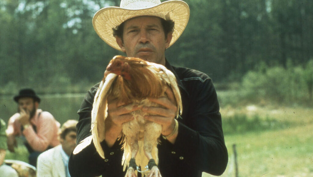 Warren Oates as a Cockfighter holding a rooster. Monte Hellman film. Classic cinema.