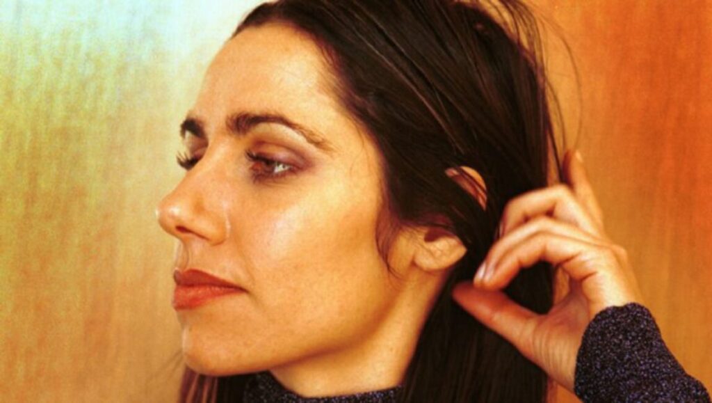 PJ Harvey To Bring You My Love album art. Close-up of PJ Harvey with dark hair.