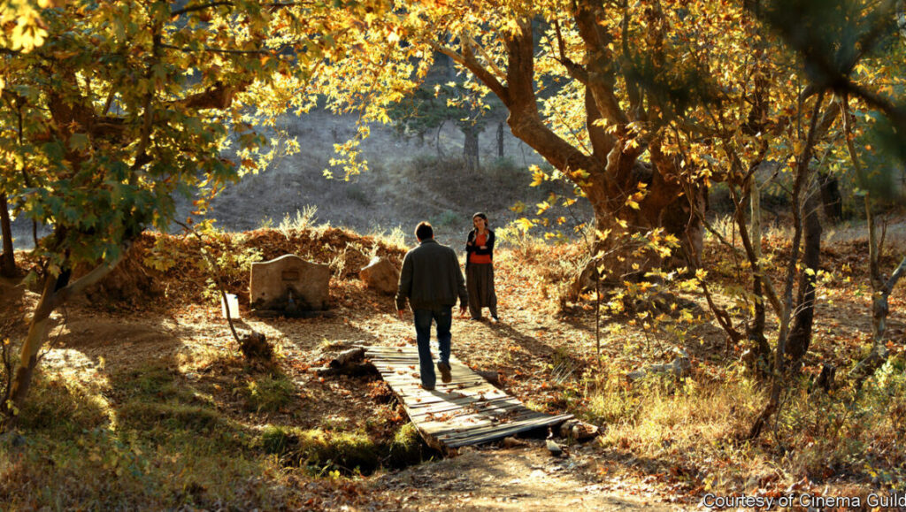 The Wild Pear Tree | Nuri Bilge Ceylan The Wild Pear Tree film still. Man walks toward a woman on a bridge in an autumn forest. Nuri Bilge Ceylan movie.