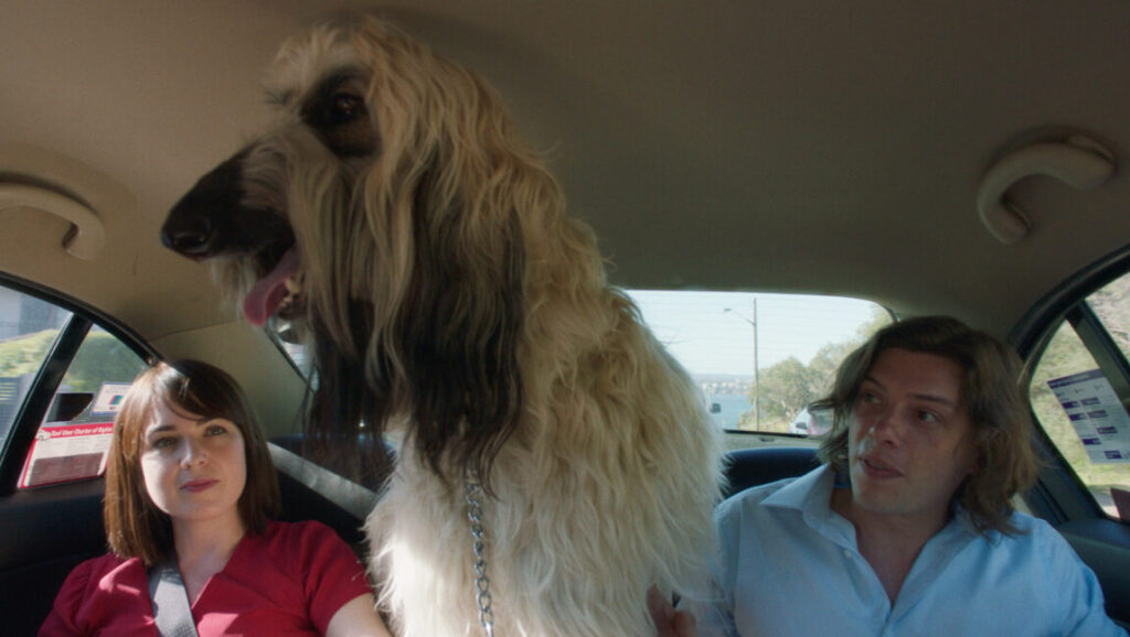 Ellipsis | David Wenham David Wenham's Ellipsis features a woman, man, and Afghan Hound in a car.
