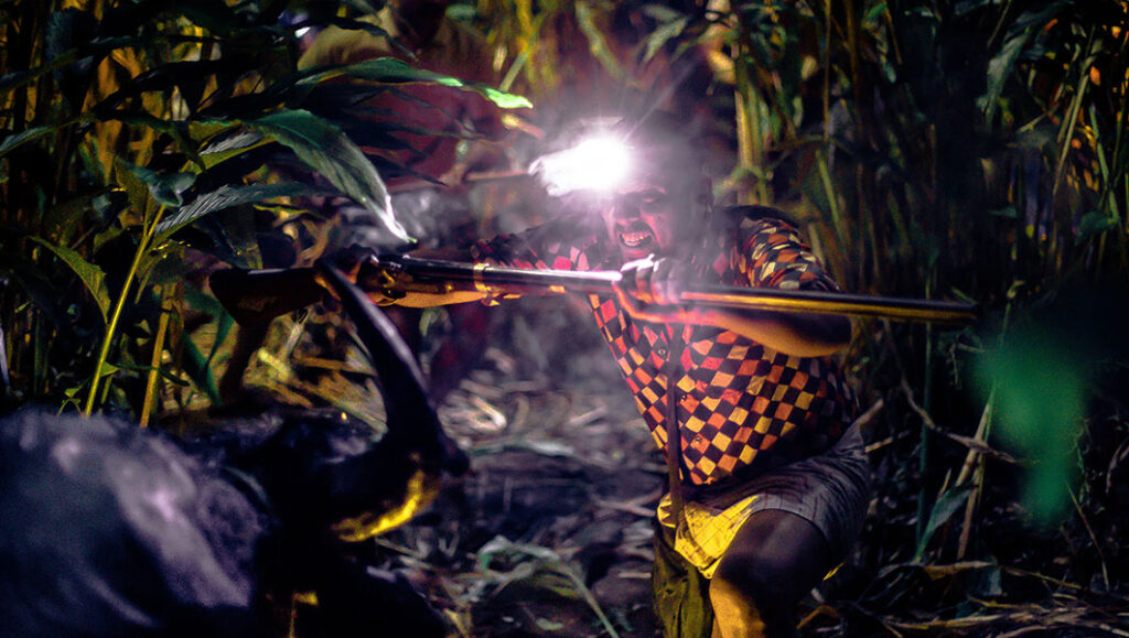 Jallikattu | Lijo Jose Pellissery Jallikattu movie scene. Man with headlamp aims rifle at a bull in foliage. Lijo Jose Pellissery film.