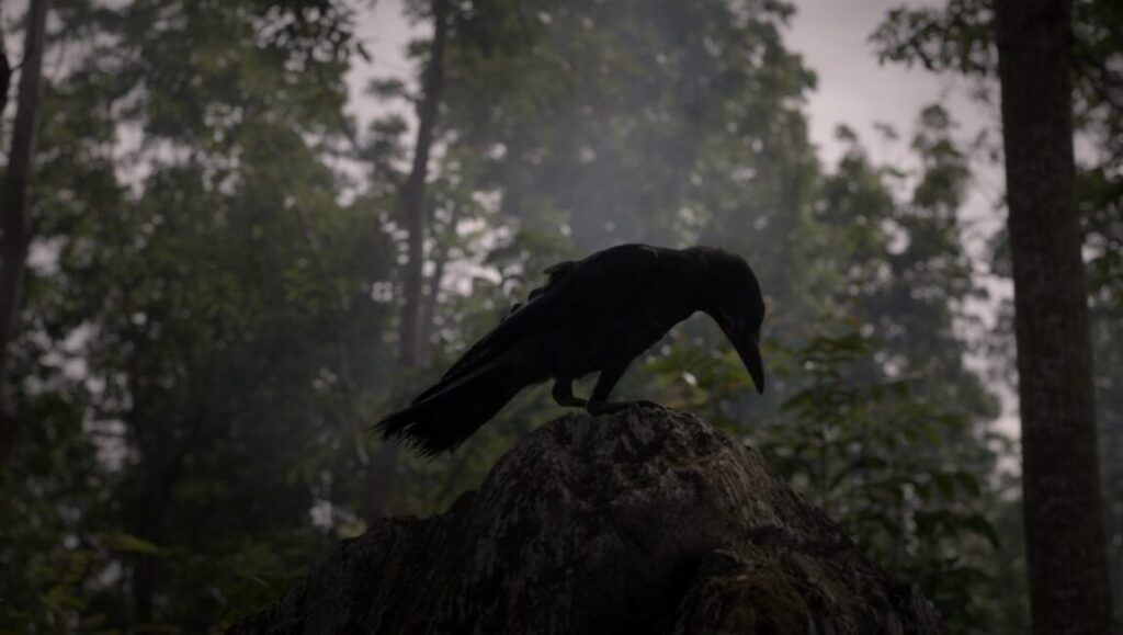 Ma | Kenneth Lim Dagatan Ma by Kenneth Lim Dagatan: Raven perched on a rock in a misty forest.
