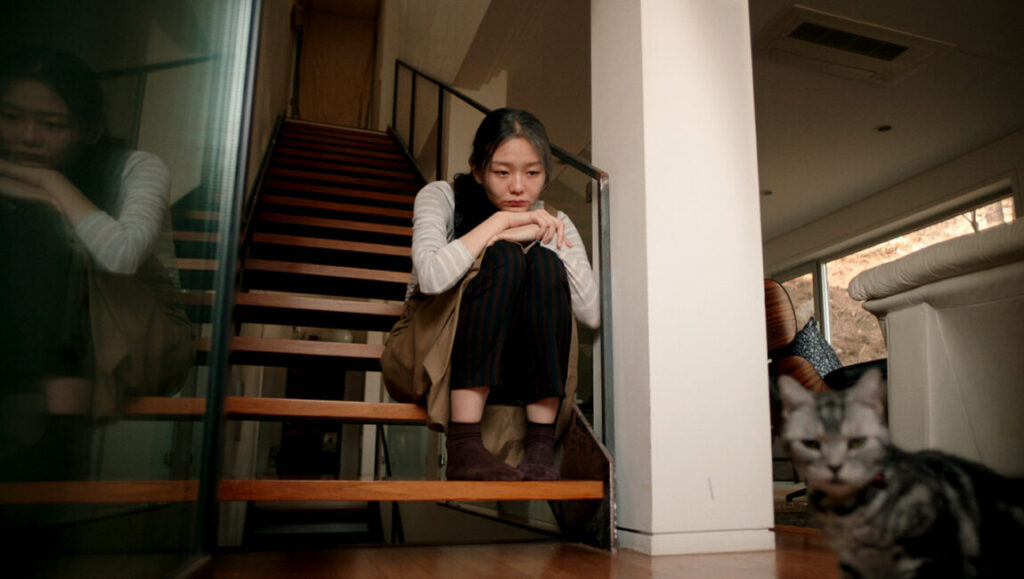 Microhabitat | Jeon Go-woon Jeon Go-woon's Microhabitat film scene. Woman sits on stairs, cat nearby. Interior shot.