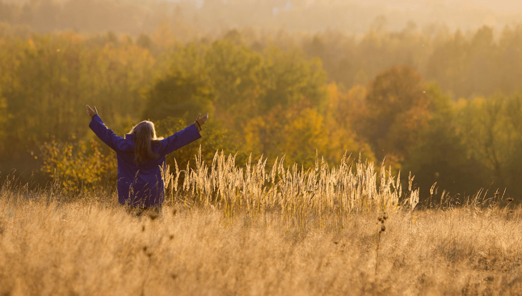 Spoor film scene: Woman in field with arms raised, facing forest. Golden light. Agnieszka Holland film.