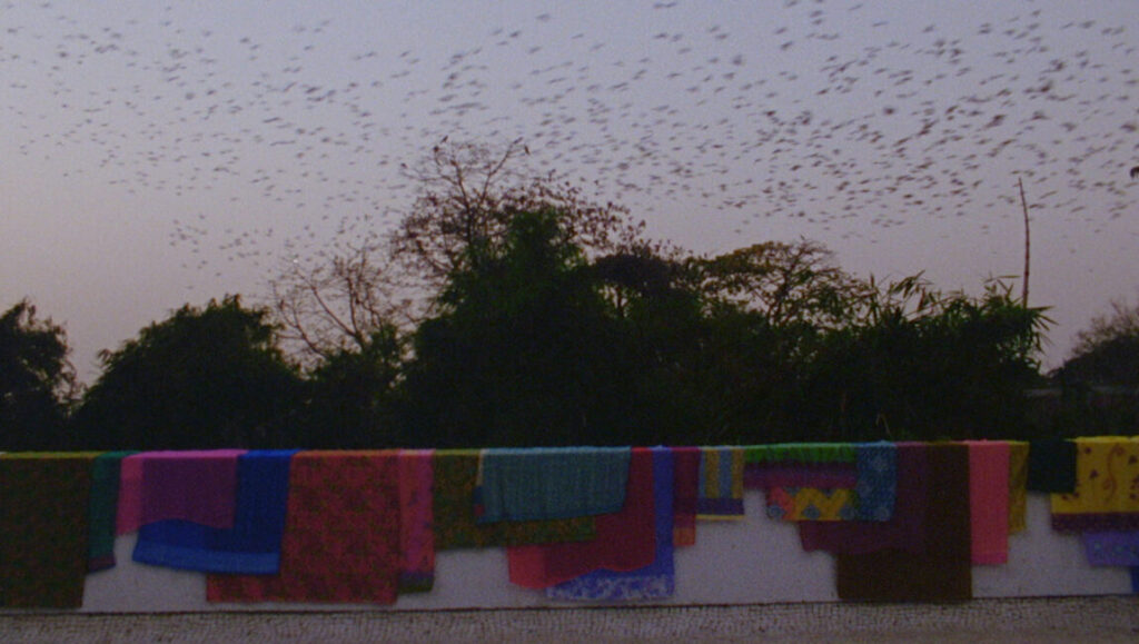 The Grand Bizarre still: Colorful textiles hang on a wall with trees and a flock of birds in the background.