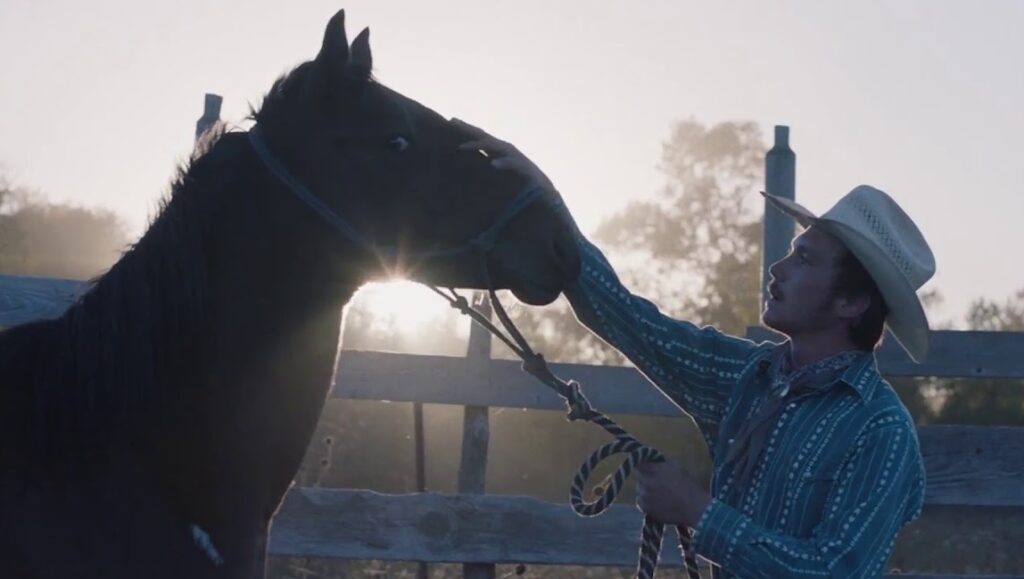 The Rider | Chloé Zhao The Rider movie scene: Cowboy gently touches his horse in a sunlit pasture. Chloé Zhao film.