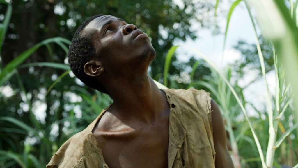 Zombi Child film still: Young man looking up in a field.