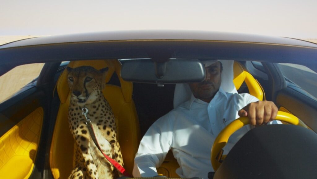 The Challenge by Yuri Ancarani: Man in traditional dress drives a luxury car with a cheetah.