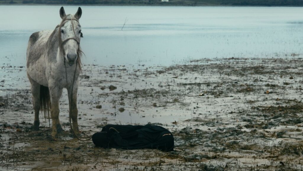 In Between Dying movie still: A horse stands near water, with a dark object on the shore.