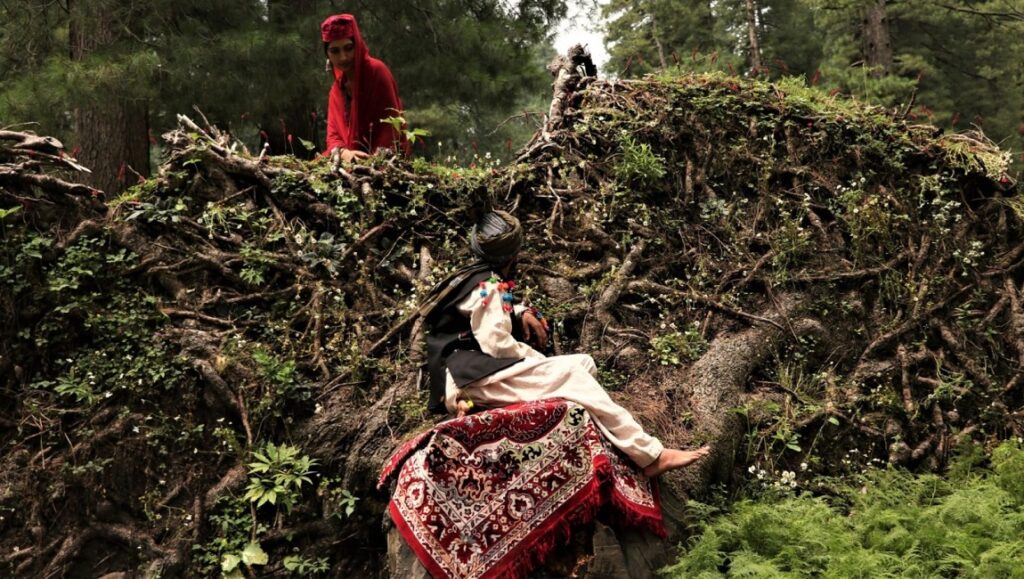 Still from Identifying Features at New Directors/New Films 2020. Two figures in a forest setting.