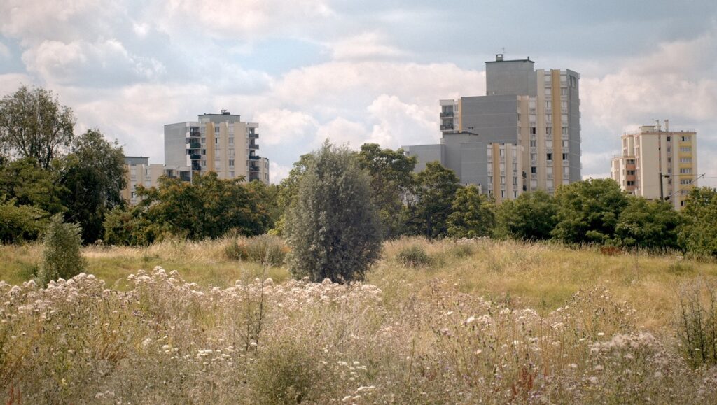 Still from Nous at the Berlin Film Festival: Tall buildings behind a field of wildflowers and trees.