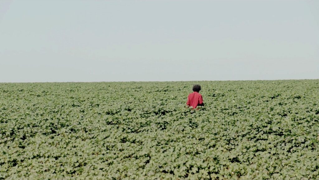 The Path is Made by Walking | Paula Gaitán Still from Fabian - To the Dogs at the Berlin Film Festival. Person in a field.