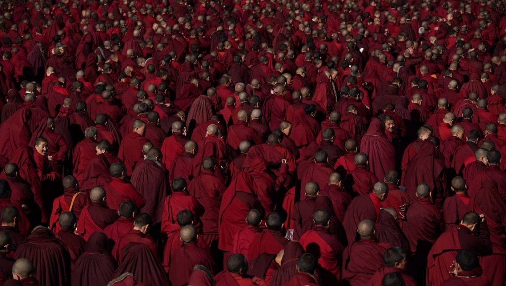 Dark Red Forest film still: Crowd of Buddhist monks in red robes. New Directors/New Films 2021.