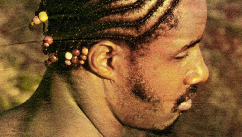 Stevie Wonder Talking Book album cover. Braided hair with beads, side profile.