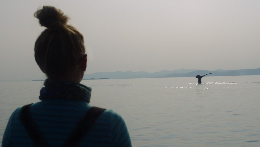 Tribeca Film Festival 2021 — Dispatch 6: Fathom, Settlers, Werewolves Within Fathom film still from Tribeca Film Festival. Woman watches a whale tail in the ocean.