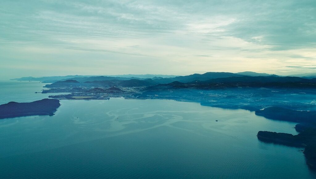 MINIMATA Mandala — Kazuo Hara MINIMATA Mandala