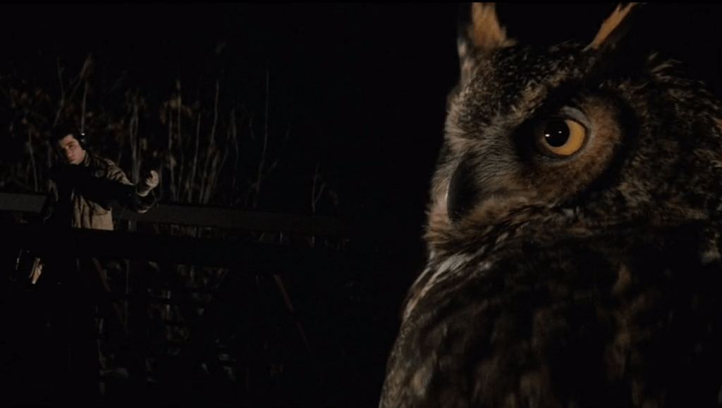 Blow Out film still: John Travolta with sound equipment and an owl. Brian De Palma movie.