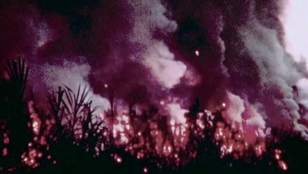 Cane Fire film still: Burning sugarcane field with smoke. Anthony Banua-Simon film.