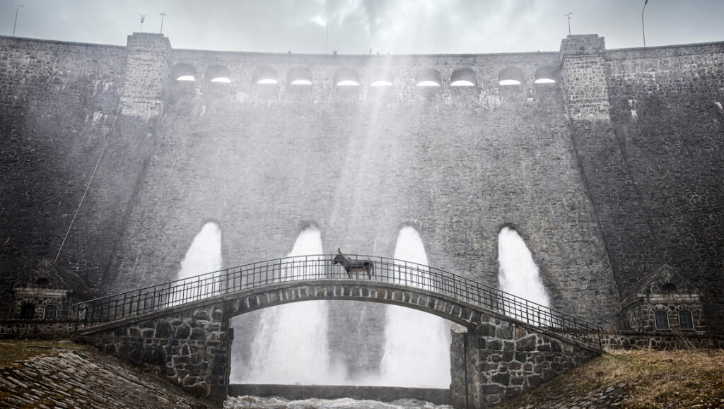 EO - Jerzy Skolimoski - Janus Films