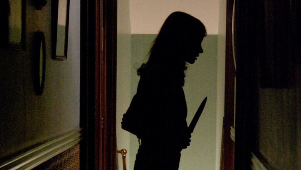 Silhouette of woman holding knife in dark hallway. Horror movie scene. Suspense.