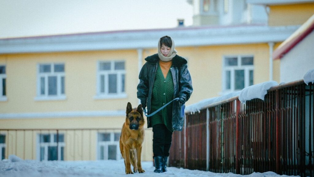 Manchurian Tiger, Geng Jun