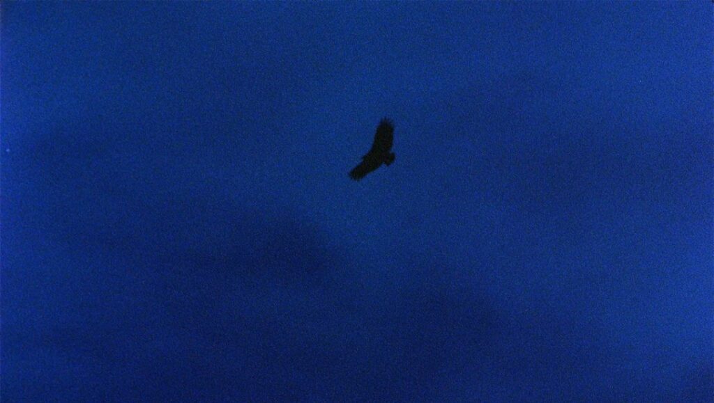 It Is Night in America, Ana Vaz