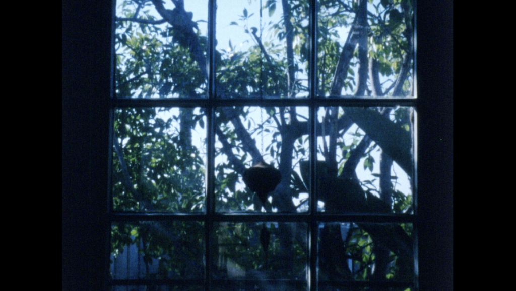 Object Permanence - Alix Blevins