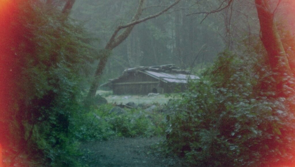 Light Signal - Emily Chao