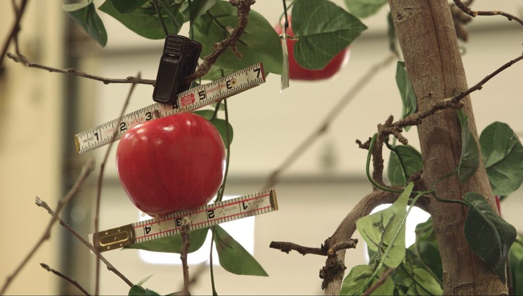 Mike Gibisier - Mary Helena Clark