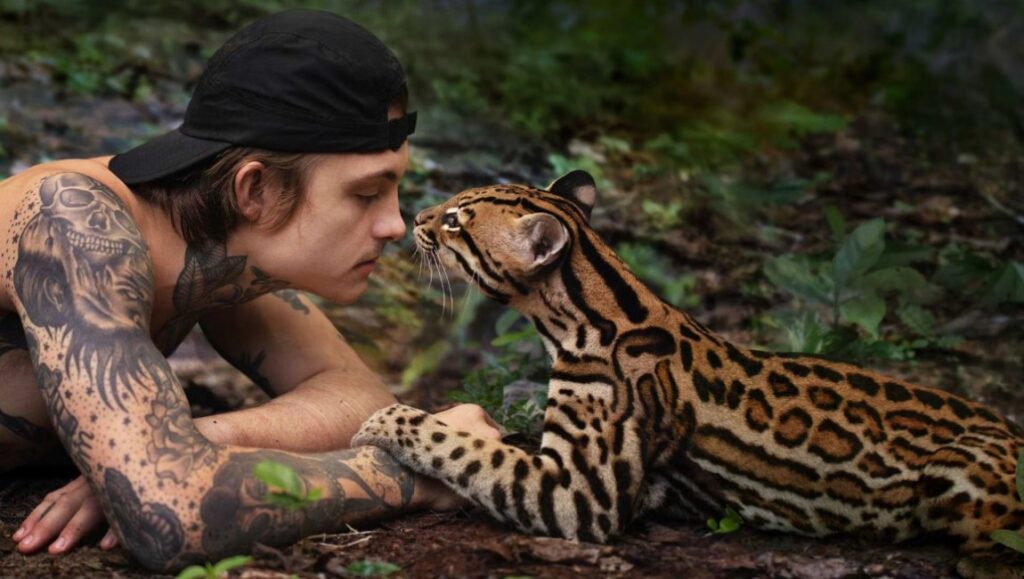 Wildcat movie image: Man with tattoos nose-to-nose with a wild ocelot in the Amazon rainforest.