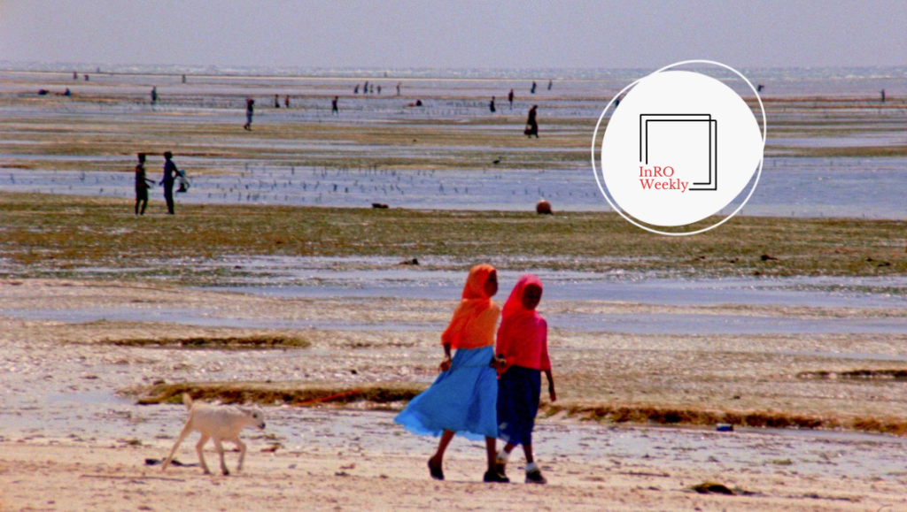 InRO Weekly — Volume 1, Issue 8 InRO Weekly magazine cover featuring two girls walking on a beach with a dog and people in the background.