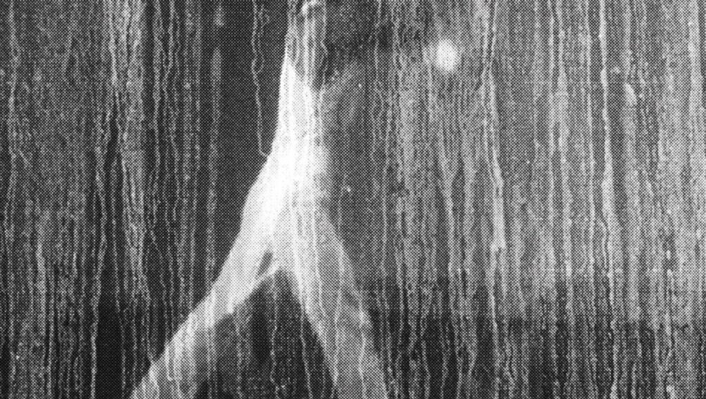 Abstract black and white image with vertical lines and a figure.