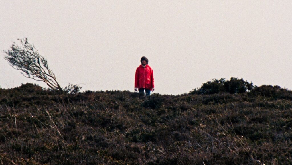 Enys Men - Mark Jenkins - NEON