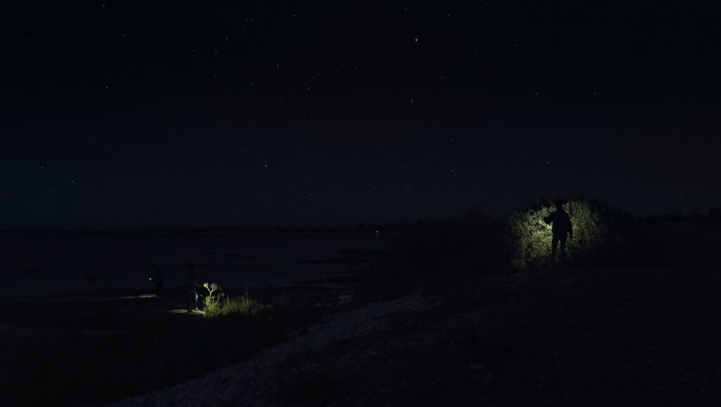 Night landscape with stars. Silhouette of a person with a flashlight. Eventide.