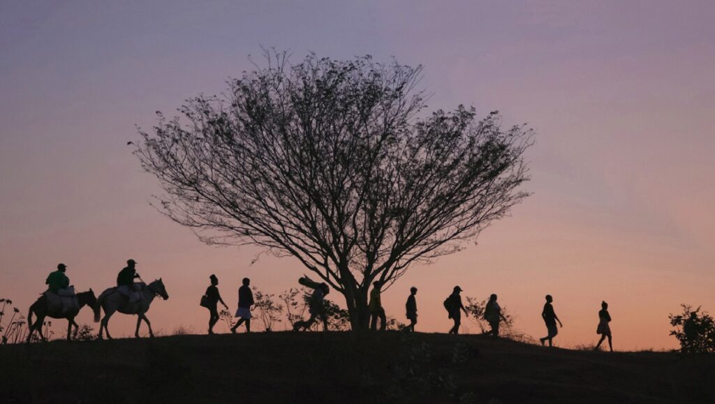 Silhouette of people walking near a tree at sunset. La Bonga, Colombia.