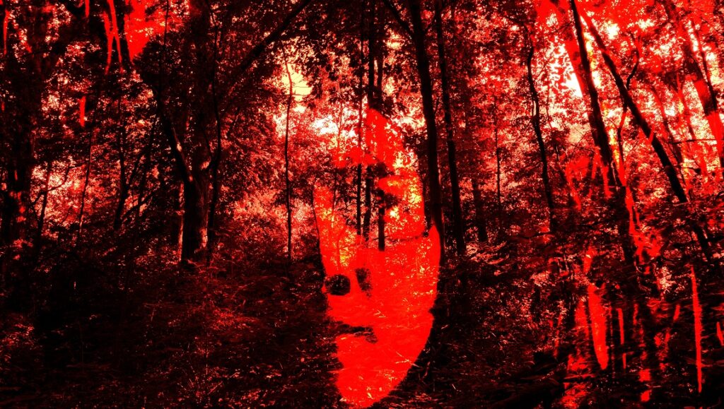 Red-toned forest scene with a superimposed face. The Fuckee's Hymn film still.