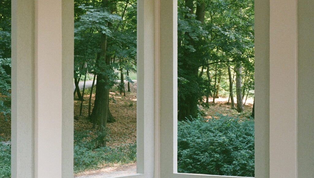 View of a lush green forest through white architectural columns. Nature scene.