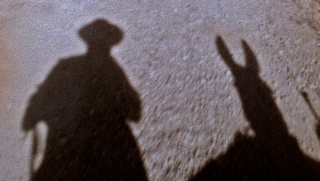 Shadows of a person and donkey in Zinzindurrunkarratz, an Oskar Alegria film reviewed at DOCNYC '23.