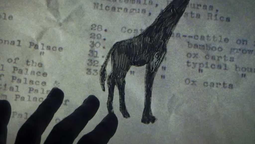 Light Matter Festival 2023: Giraffe drawing on vintage paper with text, hand visible. Art installation.