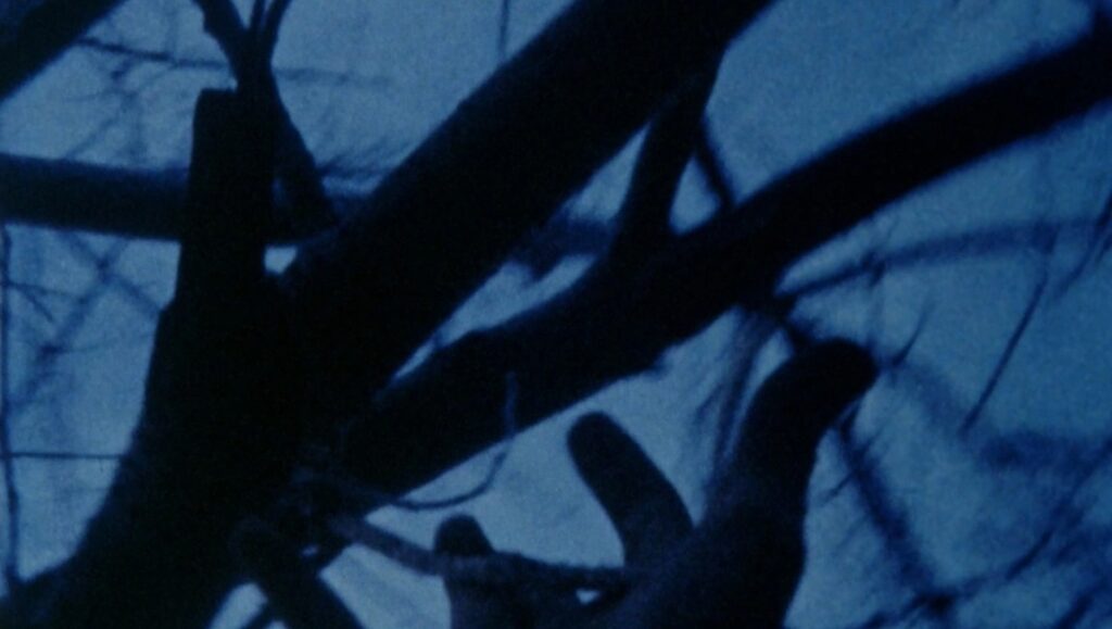 Anticipation of the Night still: Silhouetted branches against a blue night sky. Experimental film aesthetic.
