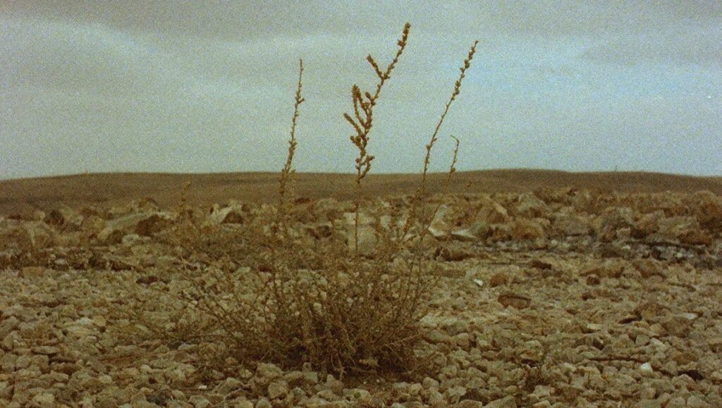 Still from Borrowed Time IFFR '24 review: Arid landscape with sparse vegetation under a cloudy sky.