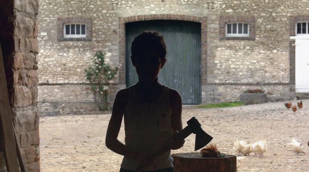 Still from Michael Haneke's Caché: A child holds an axe in front of a stone building with chickens.