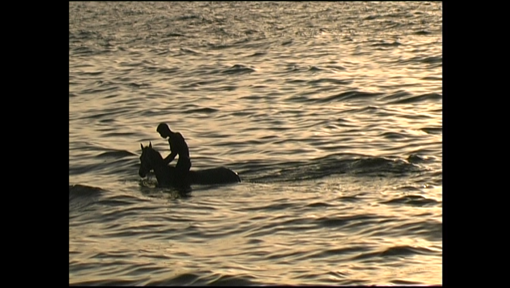 A voyage in Gaza: Silhouette of a man riding a horse through the water.