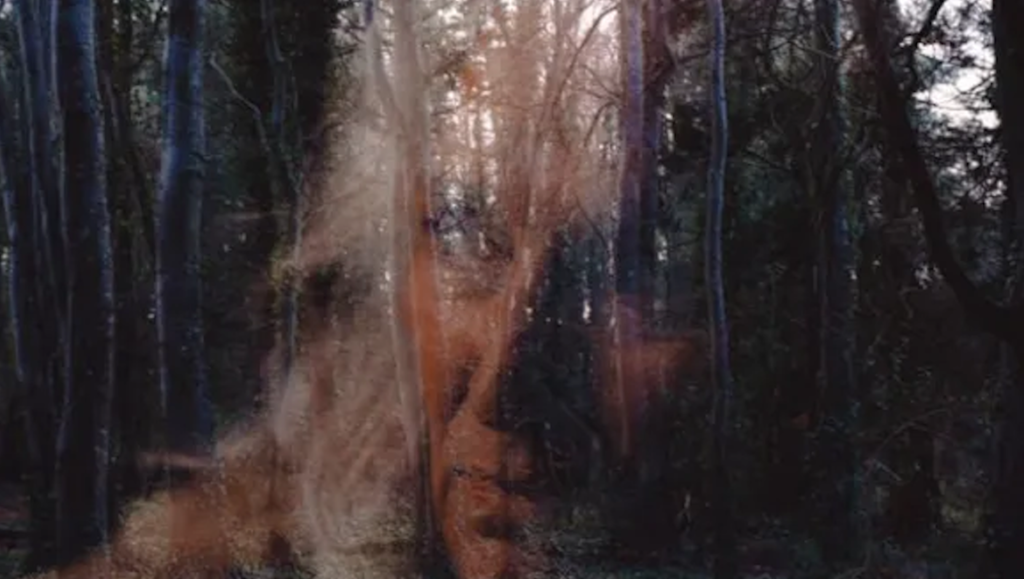 All You Need is Death review image: A face superimposed on a dark forest.