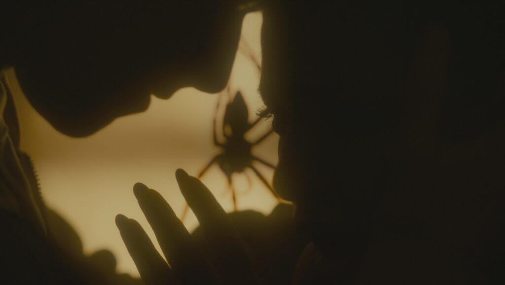 Infested movie still: Silhouetted figures with a large spider. Horror film scene.