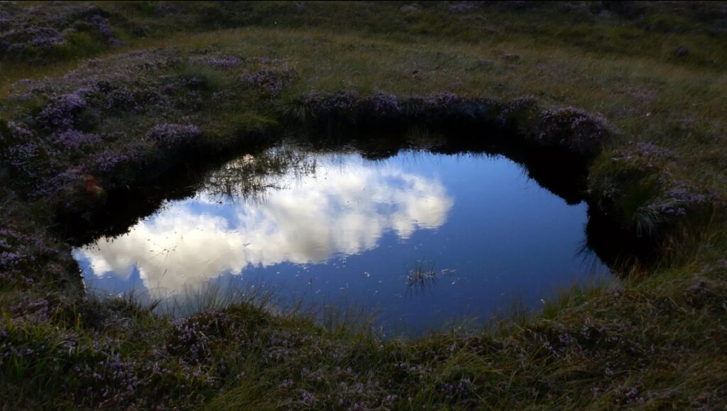 Still from Tsai Ming-liang's Abiding Nowhere film review: sky reflected in a small pond surrounded by grass.