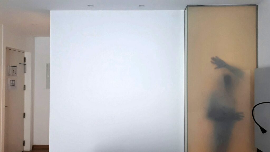 Flamenco film still. Silhouette of a person with raised hand behind a frosted glass door. FIDMarseille '24 review.