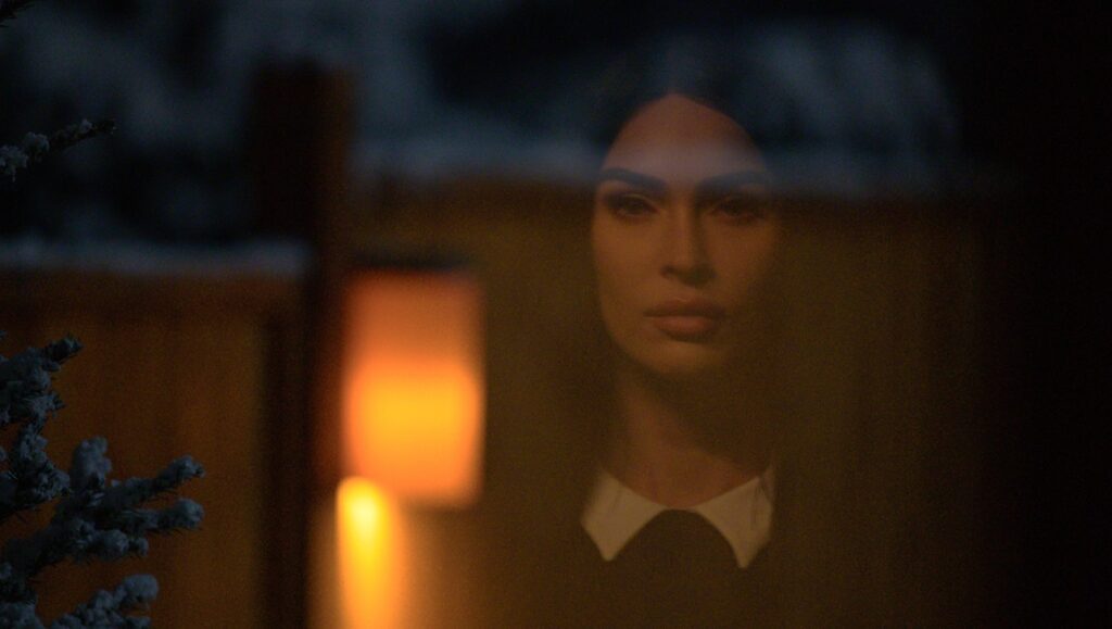 Woman reflected in window. Subservience by S.K. Dale book review. Winter scene.