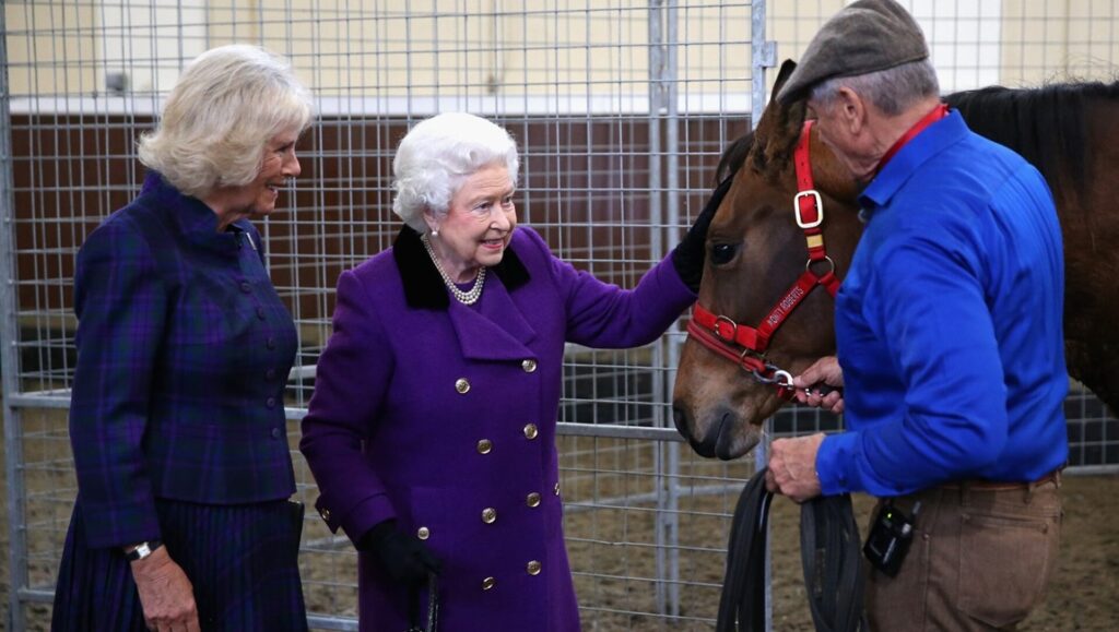 Queen Elizabeth II pets a horse, Camilla Parker Bowles looks on. The Cowboy and the Queen documentary review.